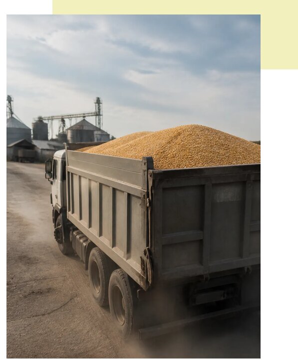 Перевозка сельхозпродукции навалом в Братск по цене от 3061 р. | Агросервис-Брт